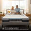 Springfit 8-inch mattress in a box, medium plush feel, bonnell spring system with high density foam, breathable knitted cover - Full-117882471