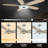 Alceo 52'' Ceiling Fan with LED Lights-78832844