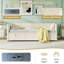 Daybed with Trundle-478053683