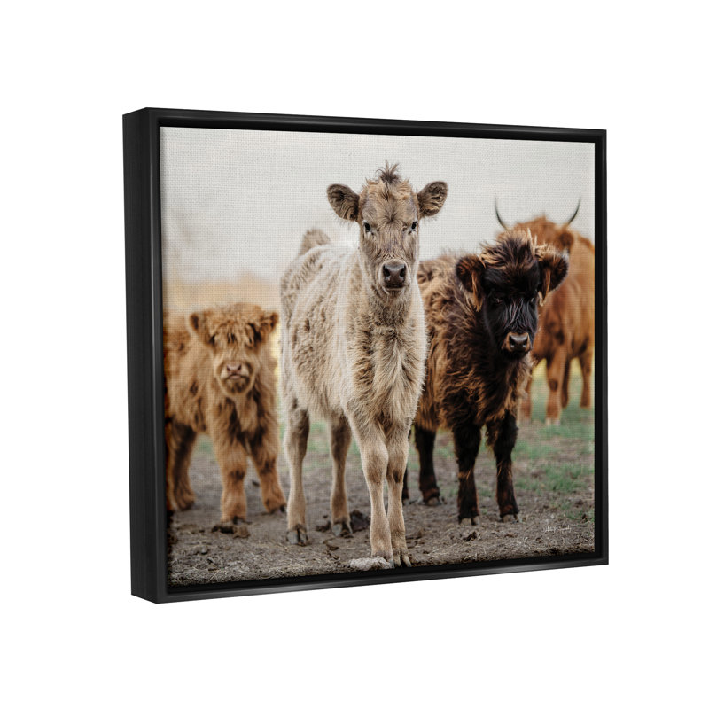 «Baby Calves On Farm» par Dakota Diener, H 17 po x l 21 po x P 1,7 po, Cadre flottant noir de jais