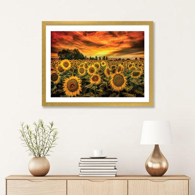 «Tuscany Sunflowers Field» - reproduction