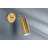 Bea Wall Sconce by TALI ROTH-1443794720