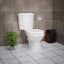Toilette allongée deux pièces double chasse (siège inclus)
