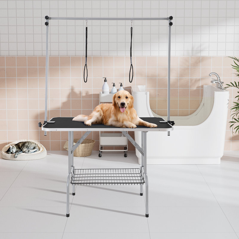 Black Stainless Steel Pet Grooming Table with Clamp