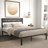 Charin Metal Platform Bed-1203467084-1203467089