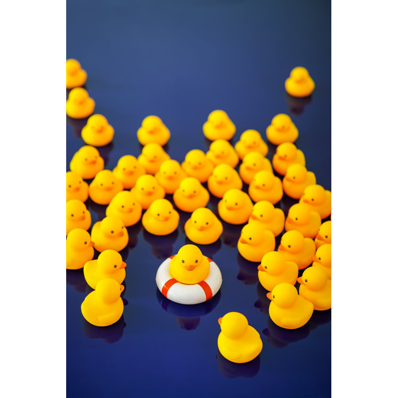 Rubber Ducks Gathering Around A Duck On A Life Ring. by Enviromantic - No Frame Print on Canvas, 76cm H x 51cm W