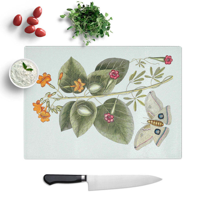 Glass Great Moth by Mark Catesby Chopping Board, 28.5 cm W x 20 cm L