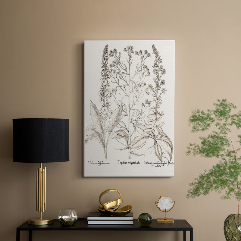 Sépia Besler Botanicals, H 18 po x l 12 po