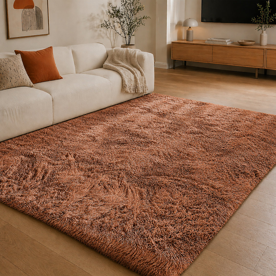 Aspire Homeware Rust Shaggy Area Rug Soft Plush Indoor Carpet
