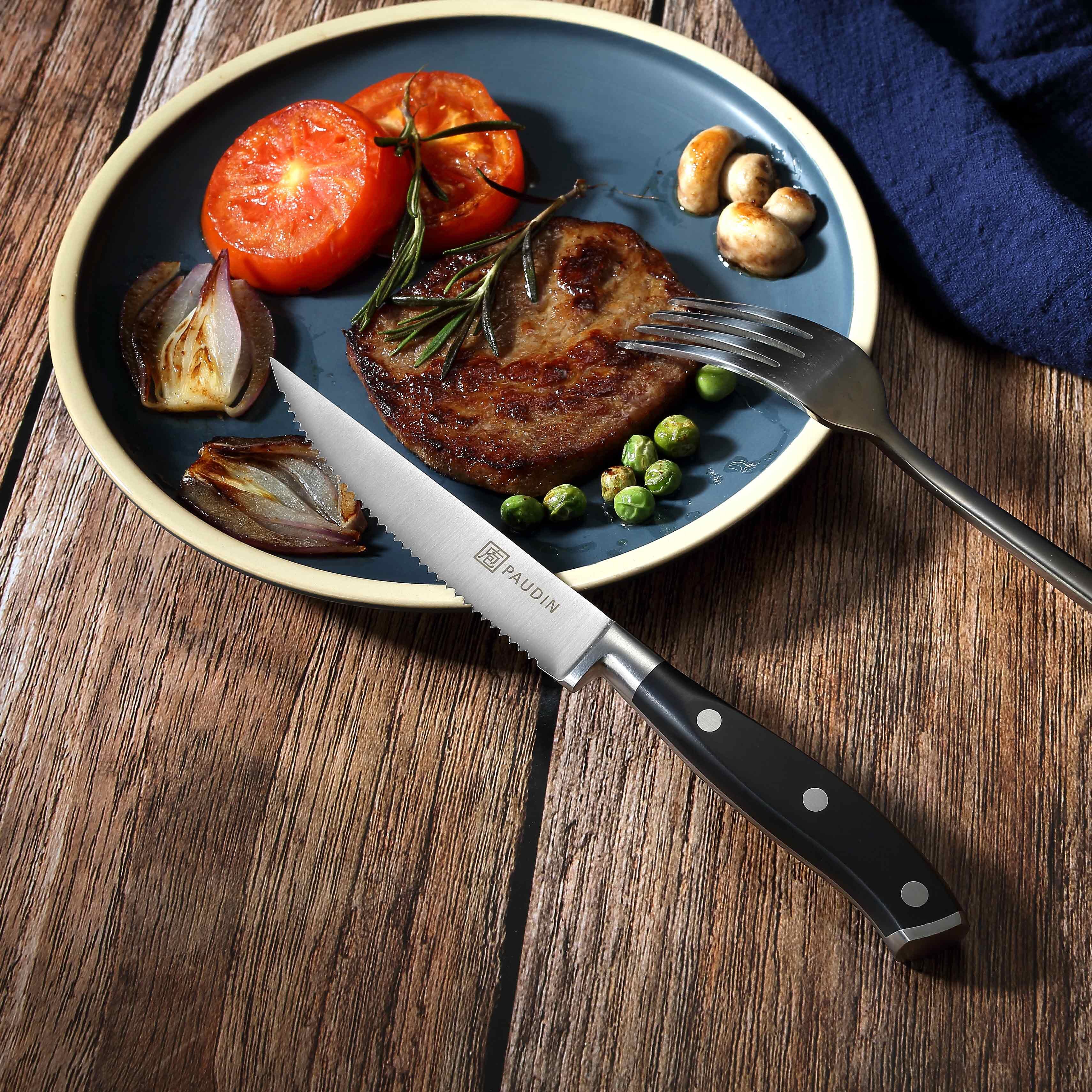 Paudin S2 4-Piece 4.5-inch Steak Knife Set Dining Knives Set