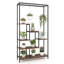 Ailine Plant Stand