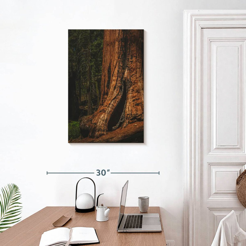 Harnek Sherman Trail Sequoia Trees, 30" H x 20" W