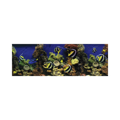 Tropical Fish Swimming Underwater Among The Coral - Wrapped Canvas Panoramic Print
