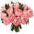 Pink selected