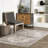 Eira Medallion SplashGuard Machine Washable Area Rug-1900723885