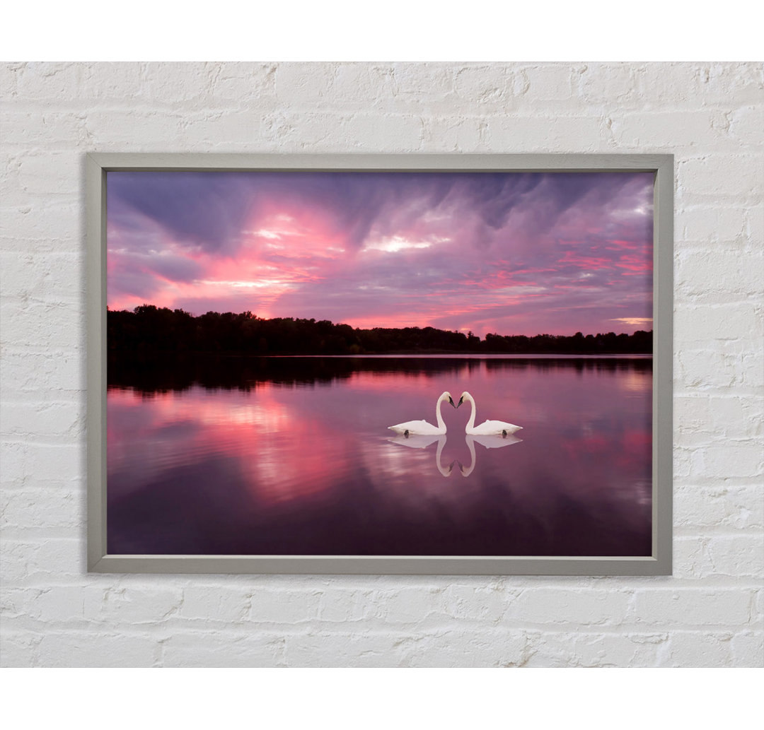 Perfect Swan Waters - Einzelner Bilderrahmen Kunstdrucke auf Leinwand