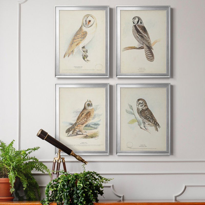 Toile encadrée de qualité supérieure Barn Owl - prête à être accrochée, H 36,5 po x l 106 po x P 1 po, Cadre argenté