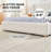 Modern Upholstered Platform Bed With Gas Lift Storage-2049684943