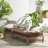 Nicholson Outdoor Chaise Lounge , Cushion Included-1092313104
