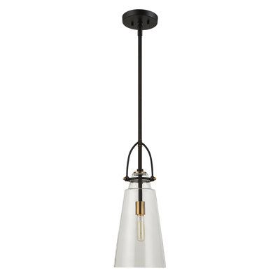 Luminaire suspendu industriel 1 lumière Laley Latitude Run® Saugus