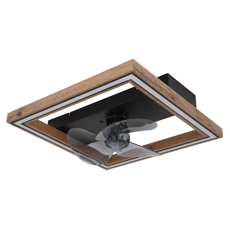 Crisel Ceiling Fan with LED Lights