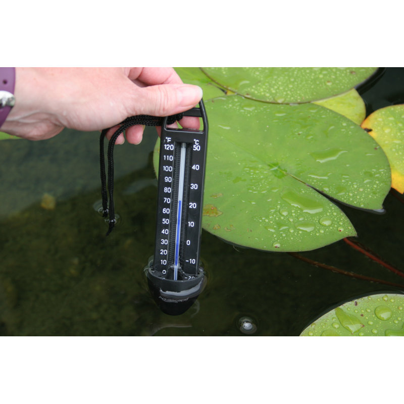Thermomètre à eau submersible 