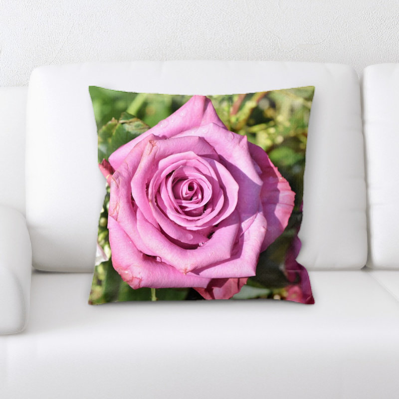 Coussin rose, Rose 2