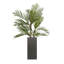Baker Fibreglass Planter-14486232-26335893