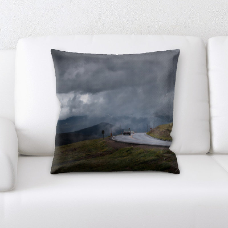 Weinberger Microsuede Throw Pillow