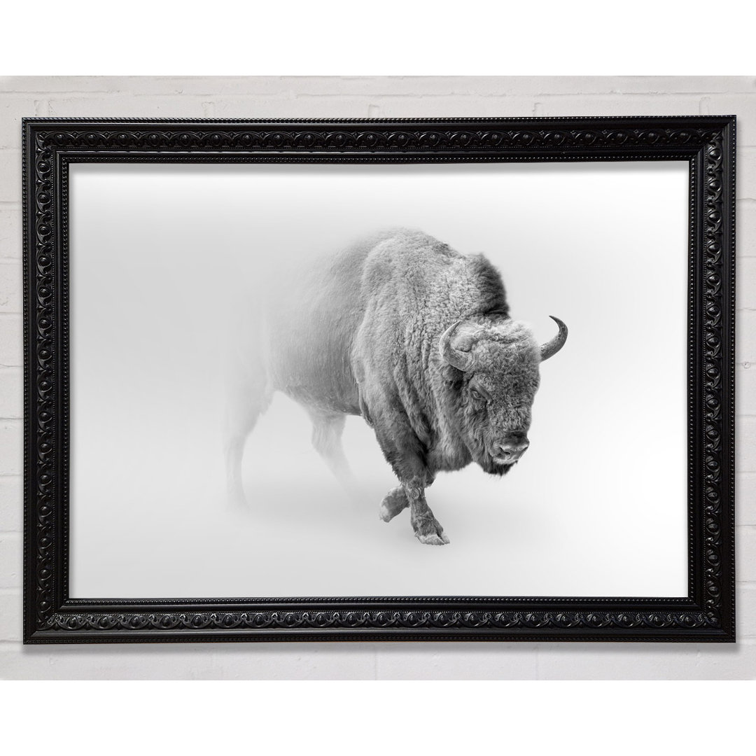 Bison In The Mist - Einzelner Bilderrahmen Kunstdrucke