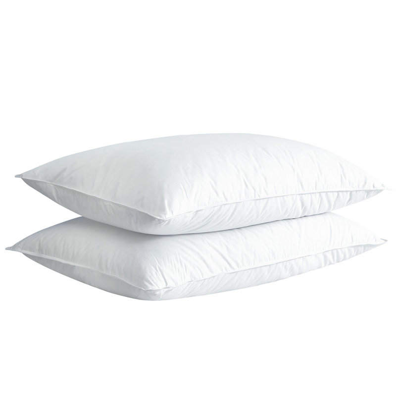 Oreiller de soutien en mélange de duvet Akatlar (ensemble de 2), 20 po x 28 po