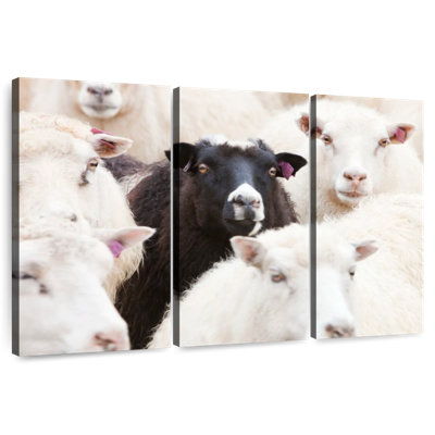 Brampt Standout Black Sheep