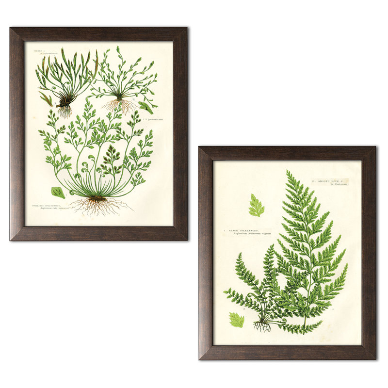 «Fern III & IV», ensemble de 2 impressions, H 16 po x l 12 po x P 0,75 po, Toile tendue