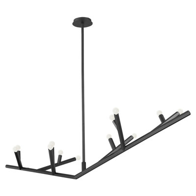 12 - Light Chandelier