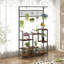 Plant Stand