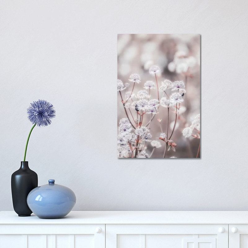 Wildflower Pastel IV by Monika Strigel - Wrapped Canvas Print, 30.48 cm H x 45.72 cm W