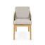 Amadora Outdoor Teak Dining Armchair-1911621273