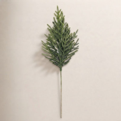 36" Norfolk Pine Branch