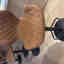 Customer photo 2 of 2