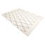 Latiya Hand Knotted Moroccan Area Rug in Gray-2033429547-2075243868