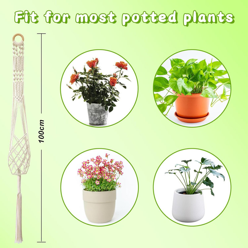 Plant Hanger