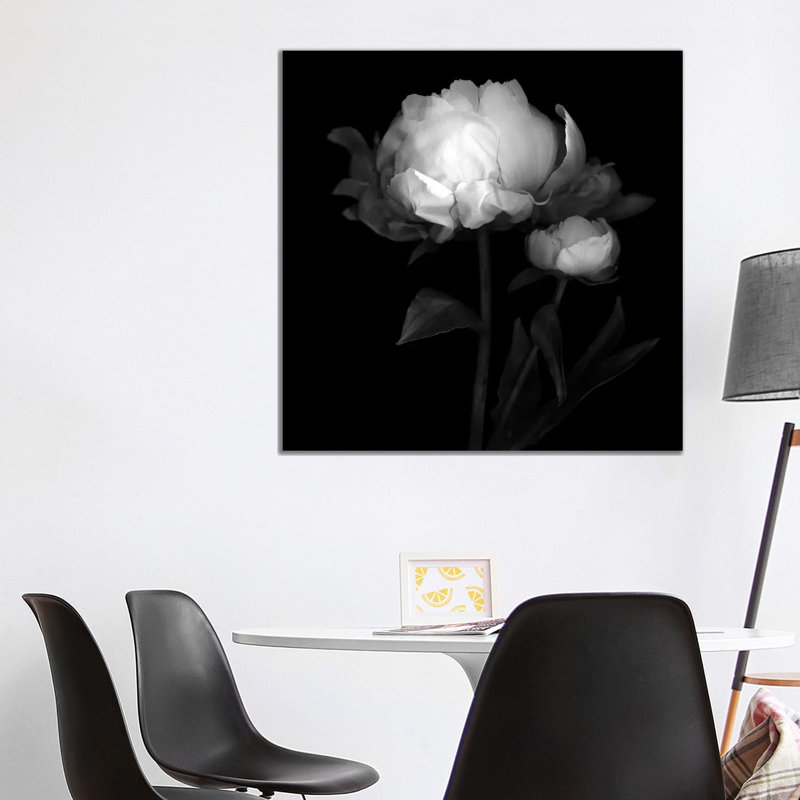 Peonies III by Magda Indigo - Wrapped Canvas Print, 93.98 cm H x 93.98 cm W