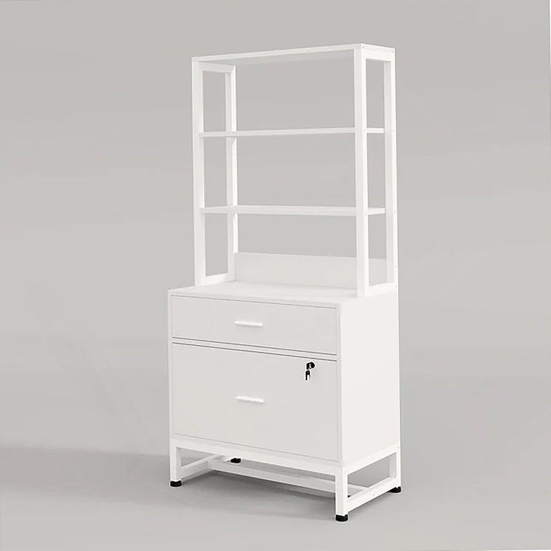 Ample Storage File Cabinet,2-Drawer Cabinet,Sturdy Filing Cabinet, White
