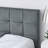 Velvet Upholstered Tufted Bed Frame | Sofa Bed with Plush Backrest & Armrests | Comfortable Multi-Functional Bed for Bedroom, Living Room & Small Apartments-1992862705-1992862709