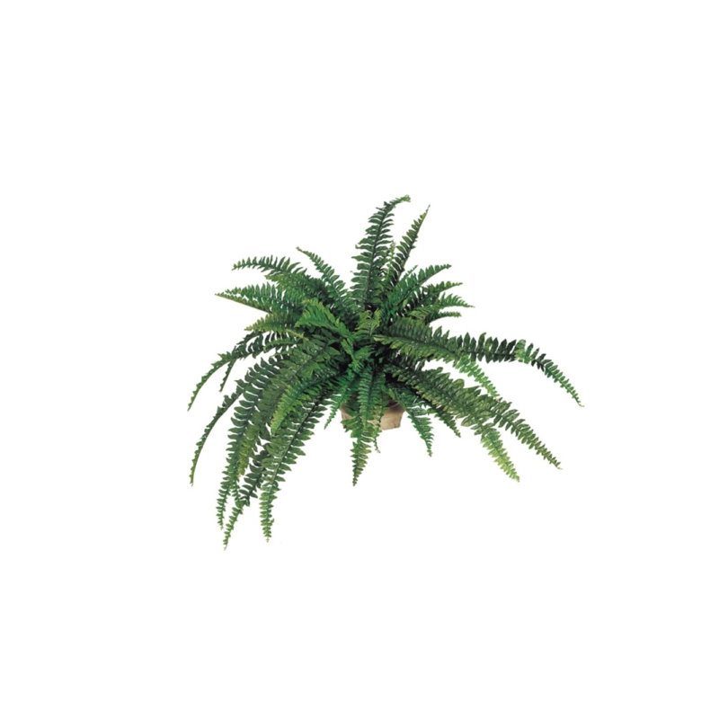 Renteria 48'' Faux Fern Plant