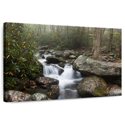 Alvord Smoky Mountains Stream