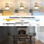 Ceiling Fan with LED Lights