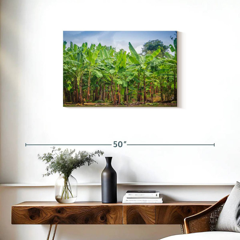 Plantation de bananes Harnek, H 20 po x l 30 po