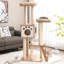 Pitre 157 cm H Cat Tree / Condo