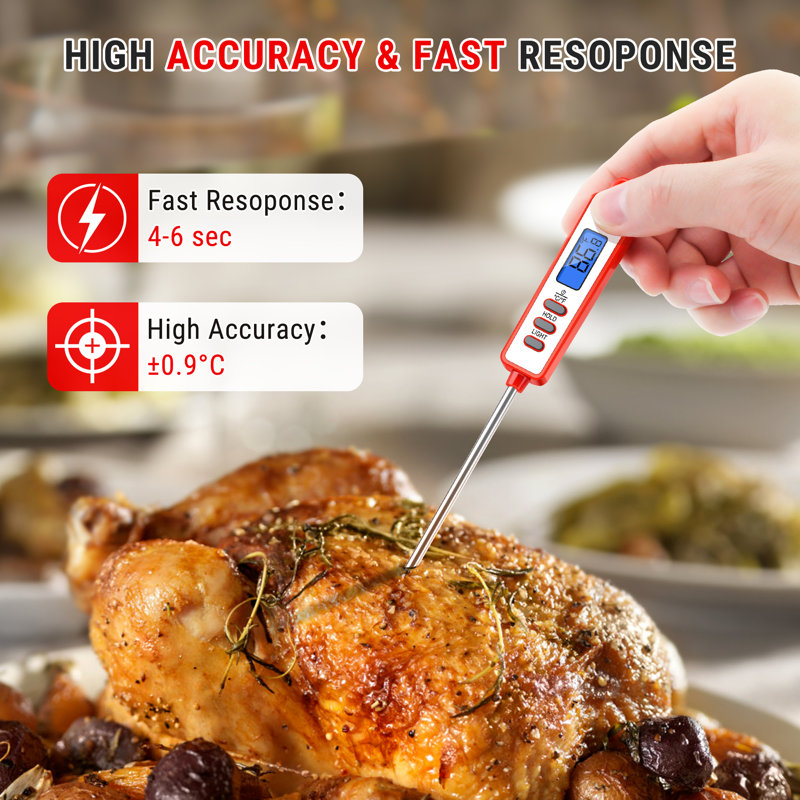 ThermoPro Thermometer